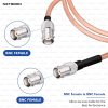 NETBOON RG316 Coaxial Cable Assembly – BNC Female to BNC Female Connectors Flexible RF Jumper for CCTV, Signal Testing, Radio Systems & Communication Equipment